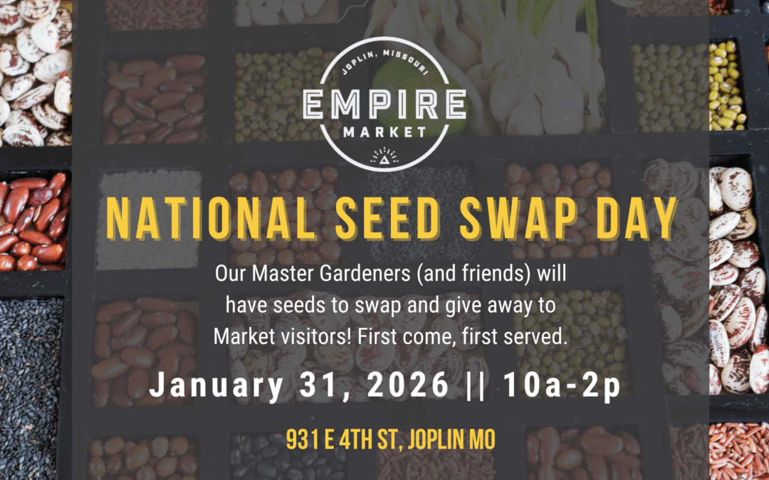National Seed Swap Day at the Empire Market